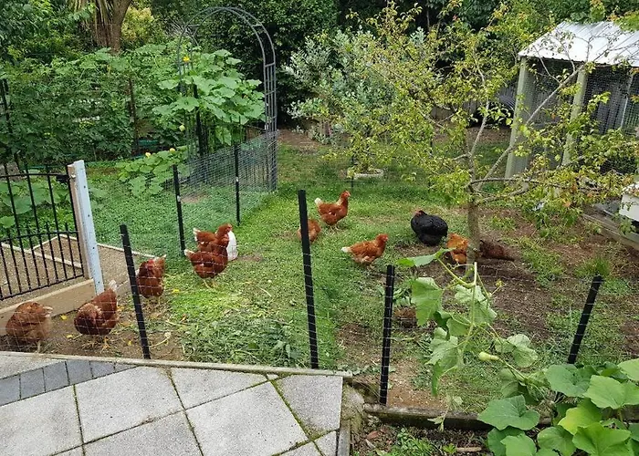 Garden 罗托鲁阿